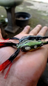 SF Dindang " Skrit Monster " 65 cm 10 gr