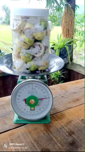 12kgHủ Trái Nhàu Ngâm Đường Phèn Hỗ Trợ Đường Tiêu Hoá -Giảm Đau Nhứt- Hỗ Trợ Đi.ều Tr.ị Ung Thư Hạ Huyết Áp Đẹp Da- Giảm Cân