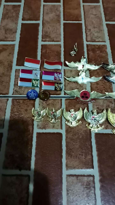 Pin Bros Resin Fiber Wing - Merah Putih - Garuda - Tunas