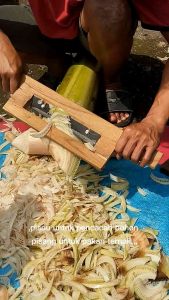 ALAT PECACAH POHON PISANG UNTUK PAKAN TERNAK