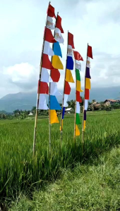 Bendera umbul umbul warna warni