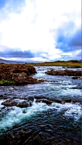 Pelet BOOMAN Bandul DS Istimewa || Extra Tj Kering & Serundeng (Media Pengumpul ikan) 250gr