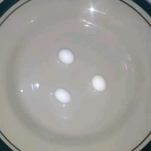 Borongan 20 pcs Batu mani gajah NATURAL bisa di tes pake air cuka