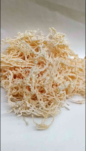 Rumput Laut Untuk Es Campur Kemasan 1kg Bisa Juga Untuk Agar-agar