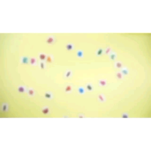 Magnetic Alphabet Spelling Words