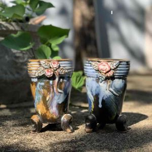 Chậu trồng cây sen đá/xương rồng xuất Hàn hoa và lá