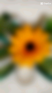 Simple chest corsage for wedding for any occassions