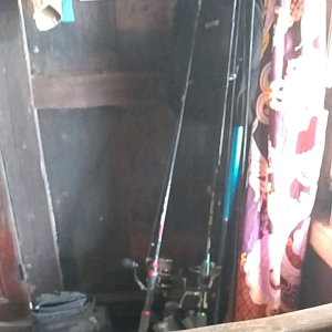 Jual Kucur Uyup Baung: Pilihan Tepat untuk Kebun Anda