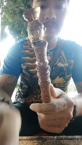 เศียรใส่ไม้ครูผ่านพิธีการปลุกเสกเรียบร้อยสลับสับเปลี่ยนได้ทุกเศียร