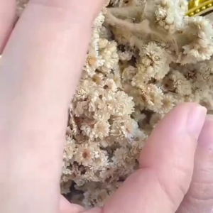 Cincin Rantai Titanium Lapis Emas 24k anti Luntur dan Karat Terlaris 2025