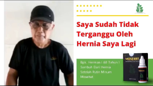 Obat Herbal Mosehat Hernia Turun Berok Ampuh Alami Tanpa Operasi BPOM