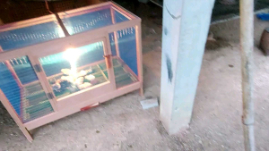 กรงไก่อนุบาล 2 ชั้น กรงเลี้ยงไก่แจ้ กรงลูกไก่ กรงอนุบาลลูกไก่ กรงแมว แบบใช้เลี้ยงสัตว์เล็ก