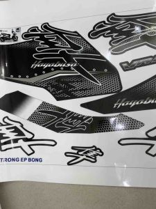 Tem Vario 160 Hayabusa (xe đen)