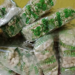 Cikur/Sukro unyil
