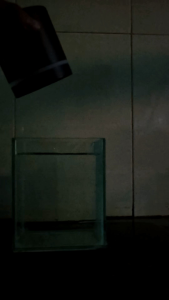 Đèn Led Rọi Kaokui KK FO6 3 chế độ màu Đèn Rọi Thủy Sinh Và Hồ Biotop