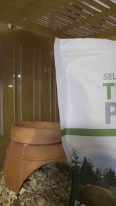 หญ้าอัดเม็ดอัลฟาฟ่า ทิโมธี 500กรัม สำหรับสัตว์ฟันแทะ กระต่าย แบรนด์ฮันนี่เพ็ท