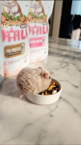 อาหารแฮมสเตอร์ DAILY ขนาด 400 กรัม แบรนด์ ฮันนี่เพ็ท