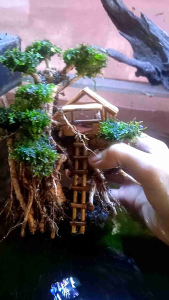 Rumah Pohon Gantung Siap Pasang & Dekorasi Aquarium Aquascape