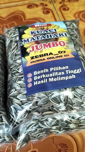 MURAHH !!! 1 KG BENIH KUACI MATAHARI SUPER
