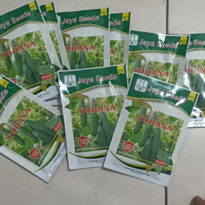 BIBIT Benih TIMUN RUJAK NEW YOHANA F1 20 GRAM JAYA SEED BENIH TIMUN SETARA ZATAVY Panah Merah