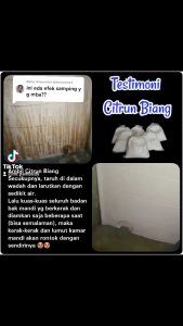SERBUK SITRUN Pembersih Porselen Kamar Mandi Ekstra Kuat 1/2 KG