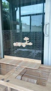 LP184 คอนนกยึดกรง ดีไซน์น่ารัก เป็นรูปต้นไม้ ดอกไม้ อุปกรณ์นก โมบาย ของเล่นนก ทำจากไม้ยางพาราเกรดA สวยงาม แข็งแรง