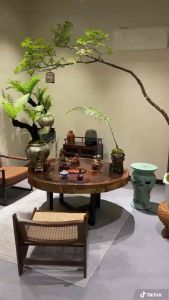 Dương xỉ khổng tước trồng để bàn