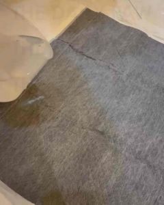 PREMIUM CHARCOAL PEE PADS (S/M/L/XL) Training Pad Toilet Dog Cat Rabbit Hamster Guinea Pig