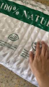 หมอนยางพารา 🧸🎀