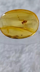 รอบที่-4 ก-36 อำพันพม่าแบบมีแหลง อำพันแท้ 100%