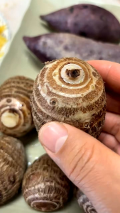 Umbi Talas Super Lembut 1 KG Kualitas Premium | Talas Segar Pilihan | Bahan Masakan & Olahan