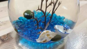 READY MADE THEMED SMALL Volcanic Shrimp Marimo Moss Aquarium (inc Car Delivery)