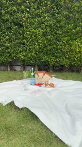 Camiryne - Lily Set (Halter + Shorts) | ชุดเซ็ท