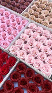 LELE (25pcs) 新款高级卷边曼塔苏醒玫瑰 High Quality Menta 7 Layers Awakening Rose SoapFlower Soap Flower Bunga Sabun Menta