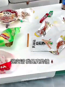 Pengusir Serangga Tikus Kecoa Lalat Nyamuk Semut Rayap Gel Pengusir Serangga Ampuh