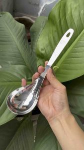 Muôi múc canh vá soup inox304 cao cấp dài 25cm
