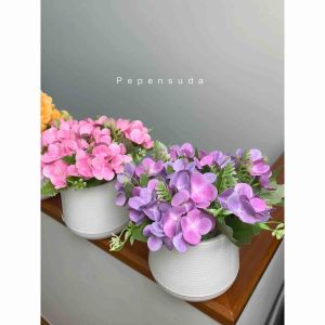 กระถางดอกไฮเดรนเยีย 💕พร้อมกระถางมินิมอลขาว มี 4 สี น่ารักมาก ดอกไม้ตกแต่งบ้าน