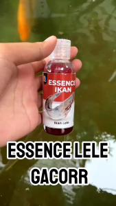 ESSEN IKAN LELE BRO AZMI – BIKIN LELE LANGSUNG DATANG DAN NYAMBAR