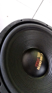 speker 12 in wofer canon