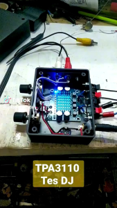 TPA3110 Class D Amplifier Dual Channel 30W + 30W