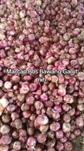 1-Kg Bawang Merah Segar Asli Garut Bawang Garut Berkualitas