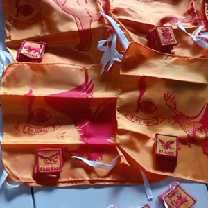 Paket 1 bendera regu + 10 bet regu putra