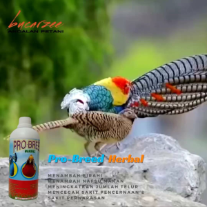 PRO BREED Probiotik Suplemen Herbal Ayam Hutan Ringnecks Pheasant dan Unggas Hias