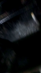 Gesper Pria KIDD ROCK Tali Kaleb lentur (Request panjang pinggang)