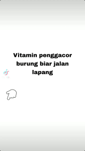 Vitamin burung lovebird biar super gacor STRONG VIT D0S1S TINGGI khusus lomba 10ml