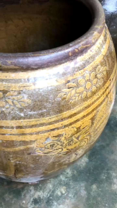 พันธุ์บัวแดงเหง้าบัวแดง (จัดโปรโมชั่น พิเศษ)บรรจุ 9 กิโลกรัมแถมฟรี 1 กิโลกรัม มีวิธีเพาะปลูกให้