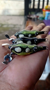 SF Dindang " Bangor " 65 cm 10 gr