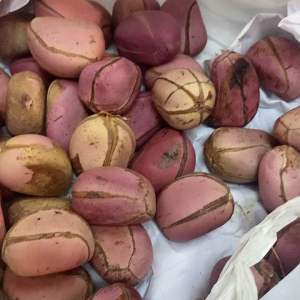 Clean fresh kola nut. From Nigeria 3 for 28rm