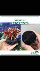 (Quấn Len) Giá Thể Trồng Cây Thủy Sinh Giá Thể Dinh Dưỡng Nutripad | 8m2 Quấn Len Cho Cây Thủy Sinh Chất Liệu Đá Dùng Cho Thủy Sinh Size Lớn 7Cm Và Size Nhỏ 5Cm - Lazada