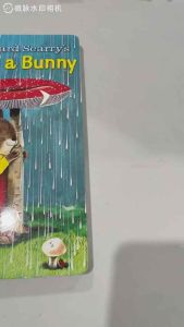 [READY STOCK 💯ORIGINAL ] I AM A BUNNY 我是一只兔子纸板书